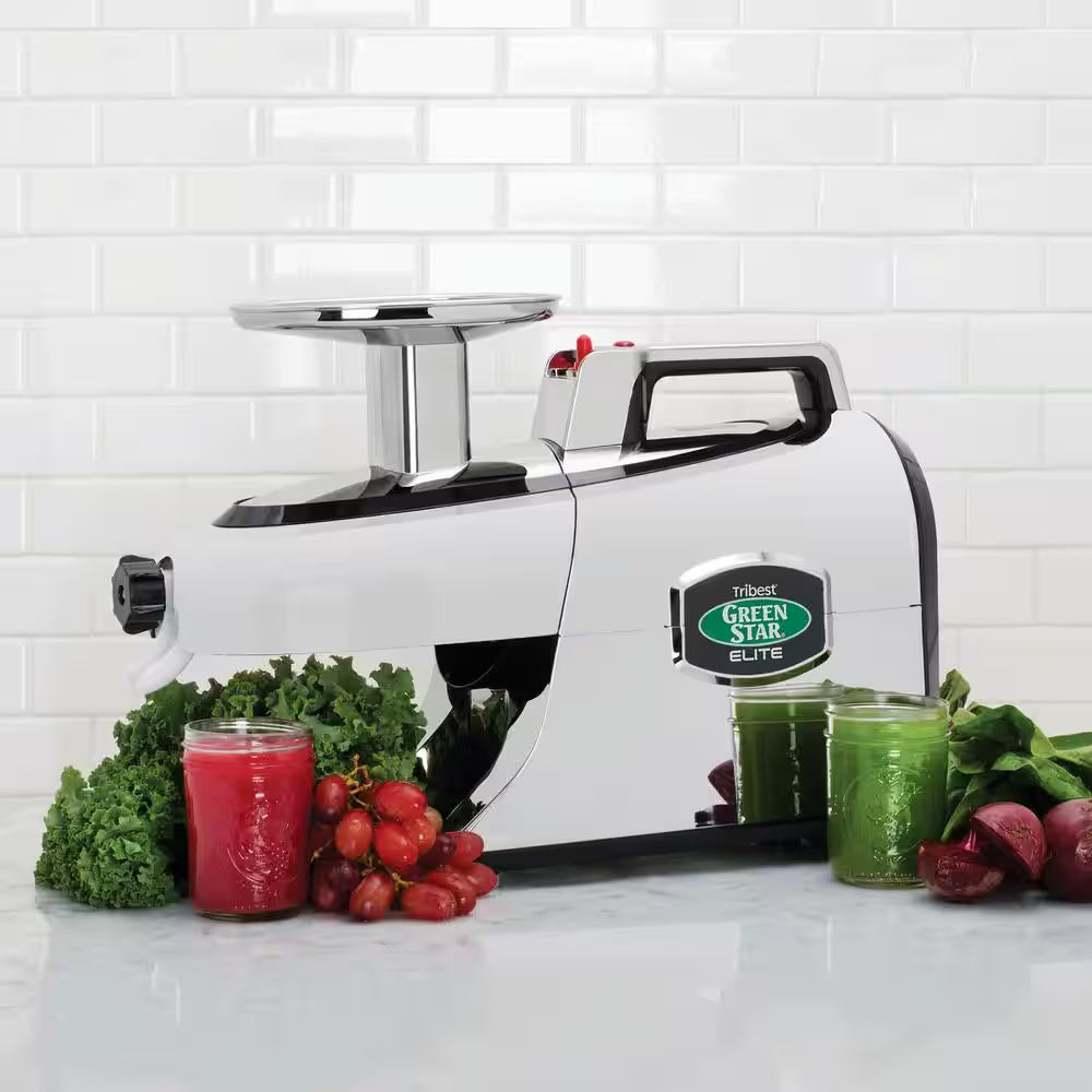 Greenstar Elite 24 Fl. Oz. Jumbo Twin Gear Chrome Masticating Juicer